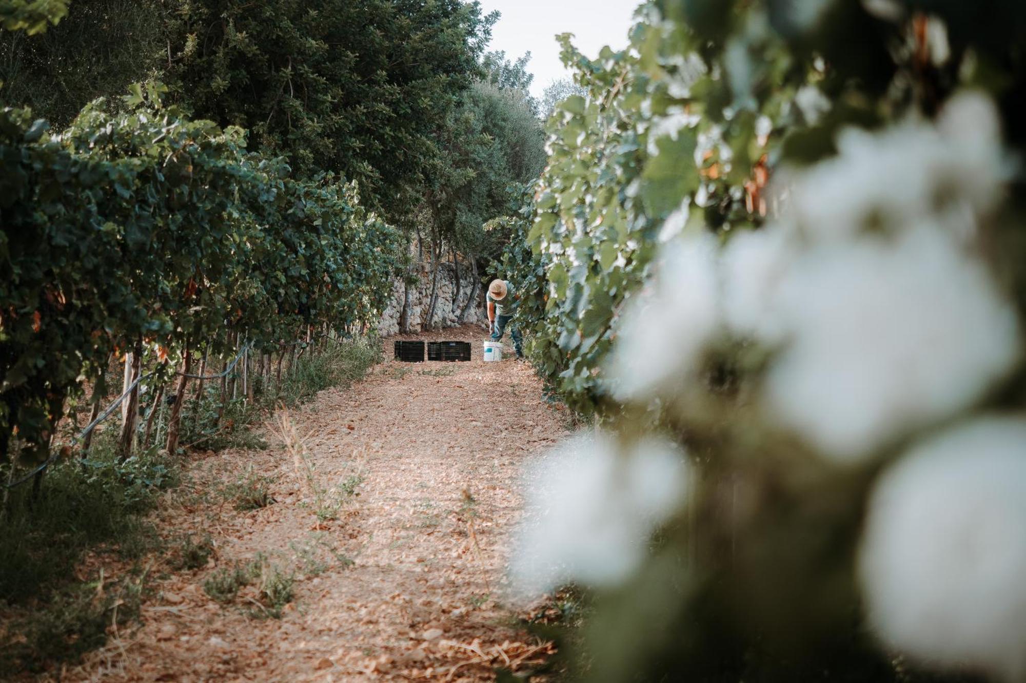 Finca Es Cabas Санта-Марія-дель-Камі Екстер'єр фото